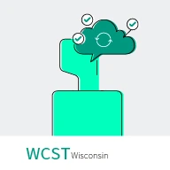 Wisconsin Card Sorting Test (WCST)